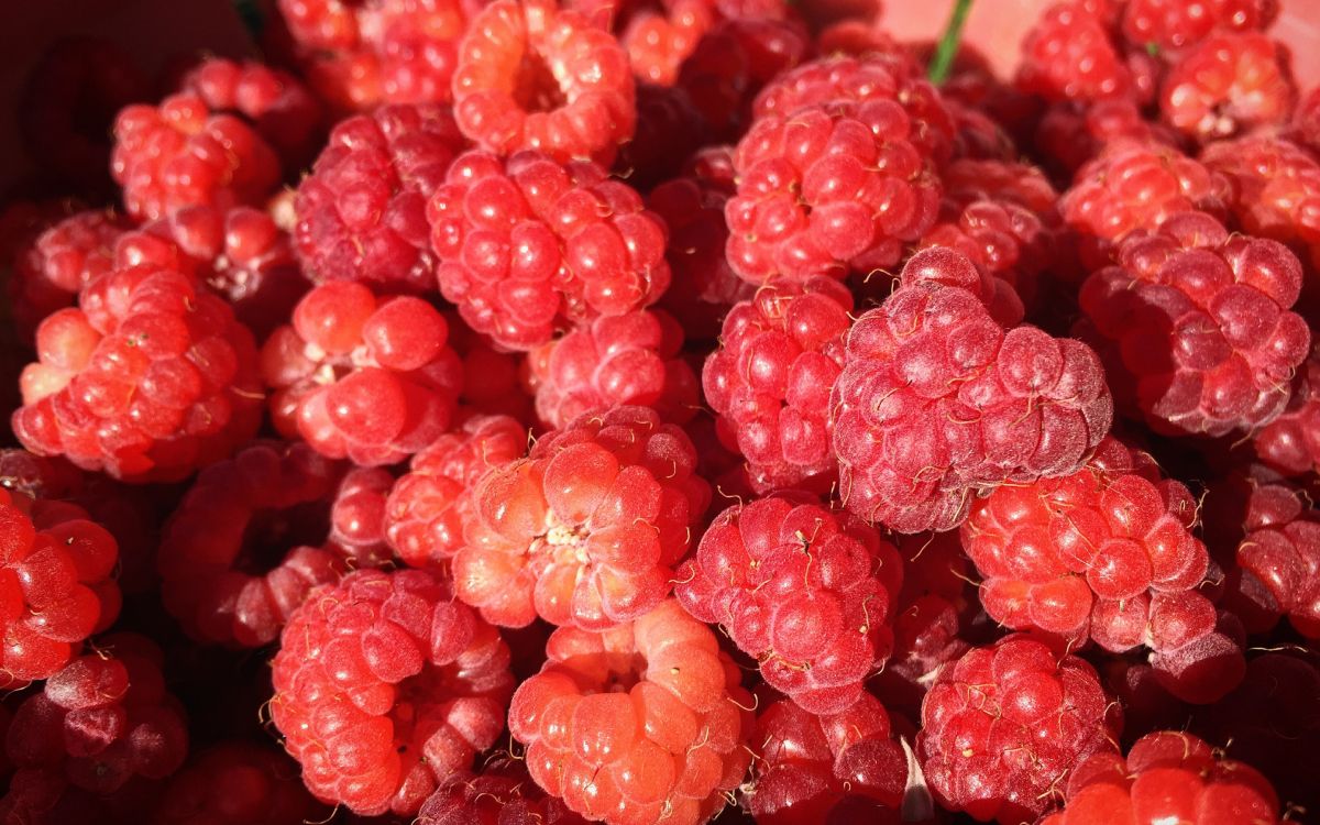 Обои Красная малина, ягоды, фрукты, природные продукты, бессемянные плоды в разрешении 2880x1800