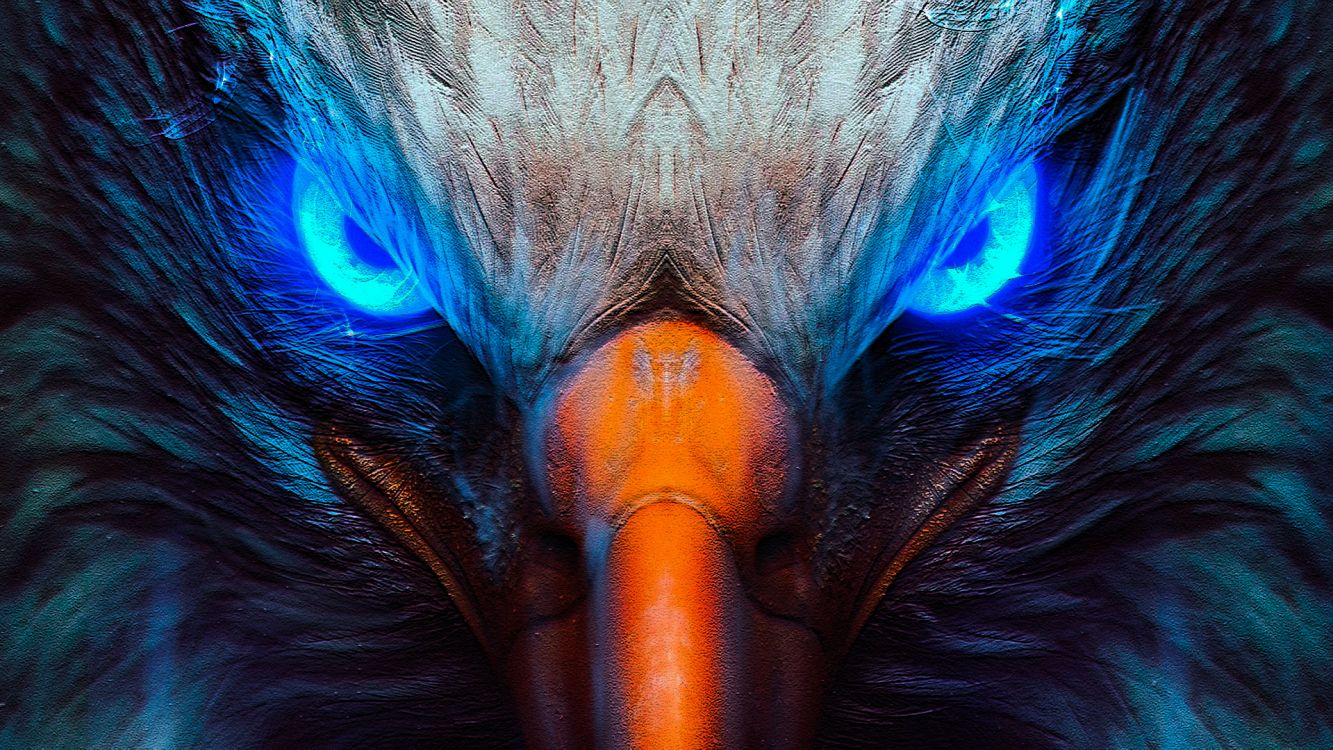 Обои золотой Орел, Орел, белоголовый Орлан, волосы, голова в разрешении 1920x1080