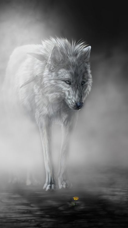 Обои арт фэнтези чёрно-белый волк, арктический волк, черный волк, датский дог, арт в разрешении 1080x1920