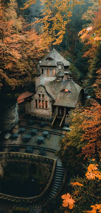 Обои здание, мир, окно, лист, природный ландшафт в разрешении 1422x3000