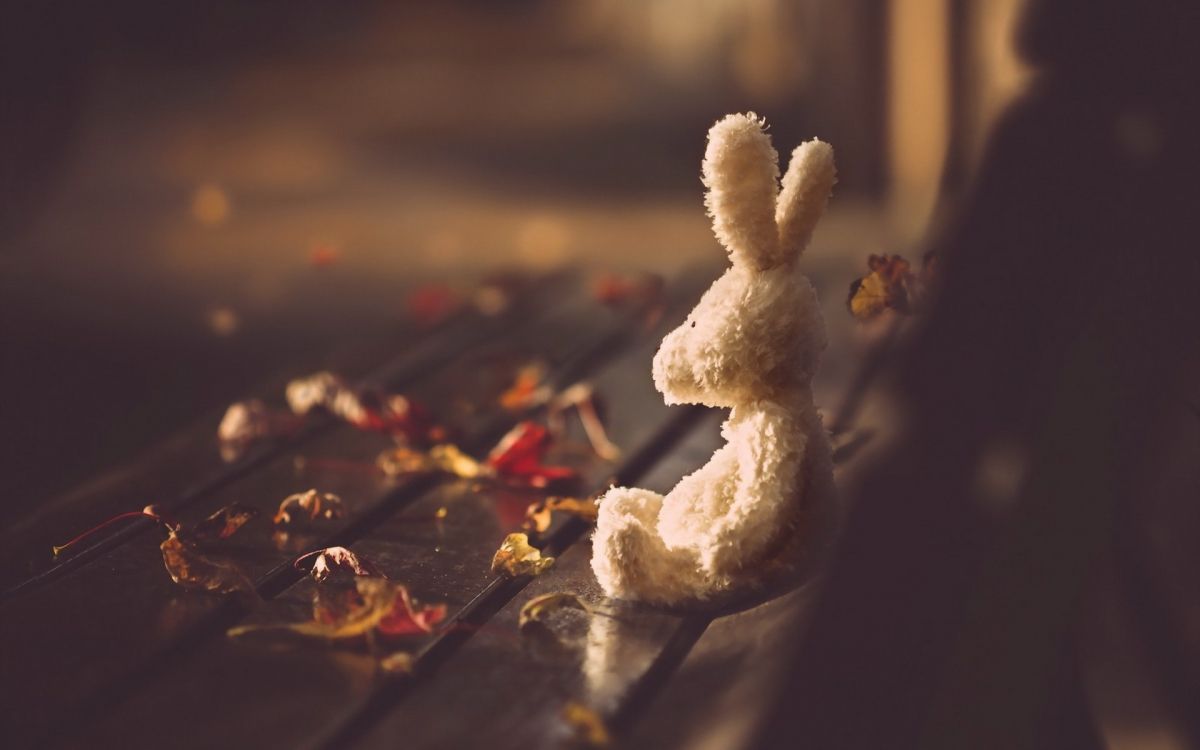 Обои лепесток, жест, облако, Кулинария, блюда в разрешении 1920x1200