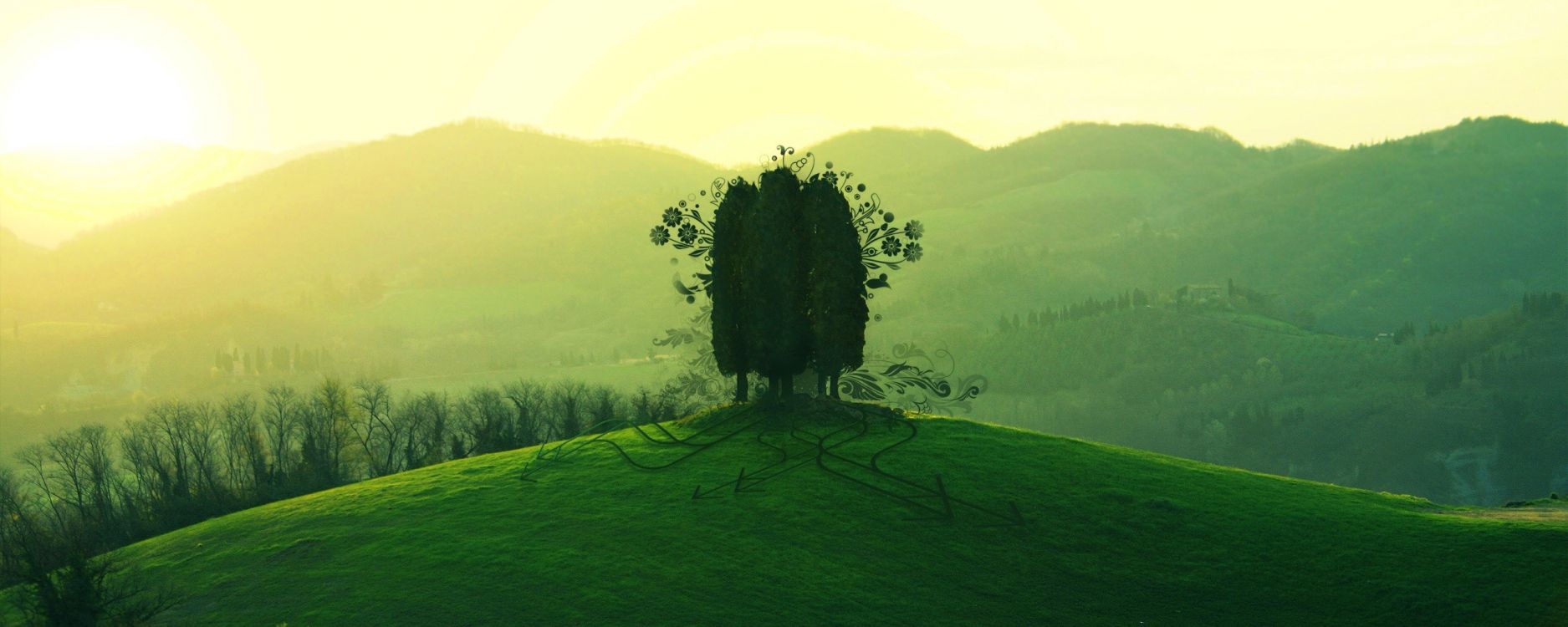 Обои природа, зеленый, холм, дерево, нагорье в разрешении 2560x1024