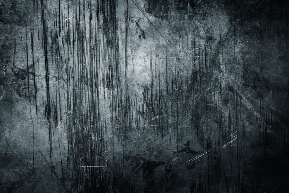 Обои черный, древесина, темнота, монохромный, дерево в разрешении 2816x1880