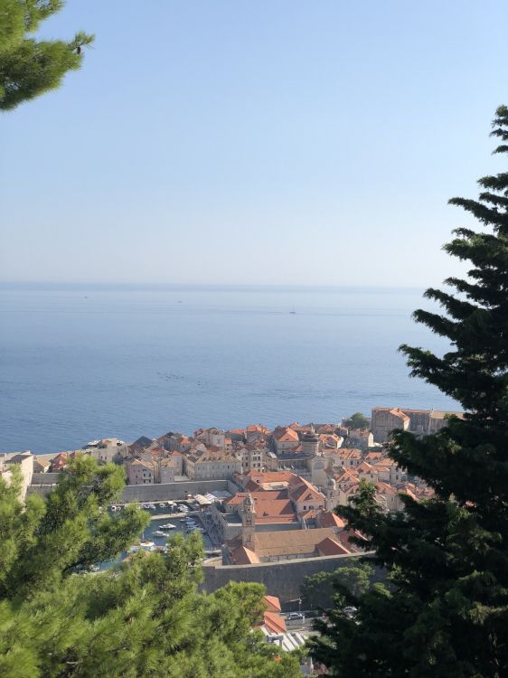 Обои недвижимость, жилой район, крыша, вечнозеленое растение, хвойное дерево в разрешении 1536x2048