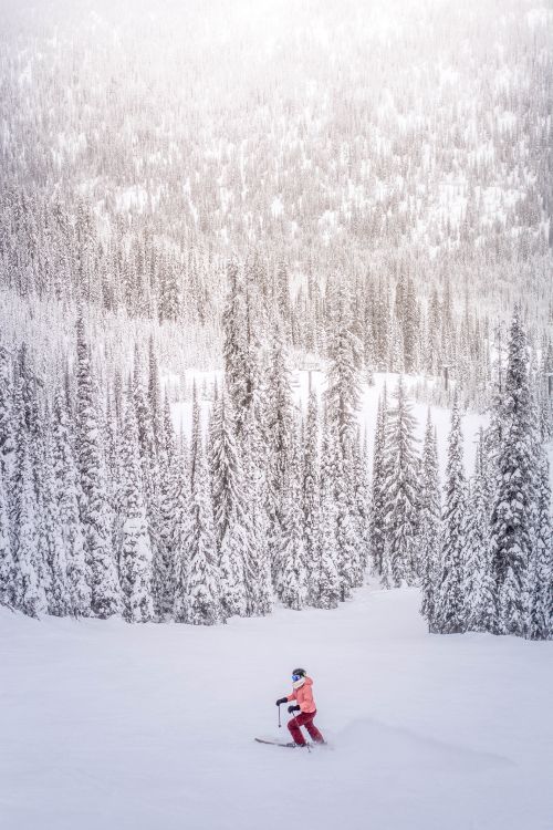 Обои лыжи, осина, горные лыжи, зима, дерево в разрешении 3926x5889