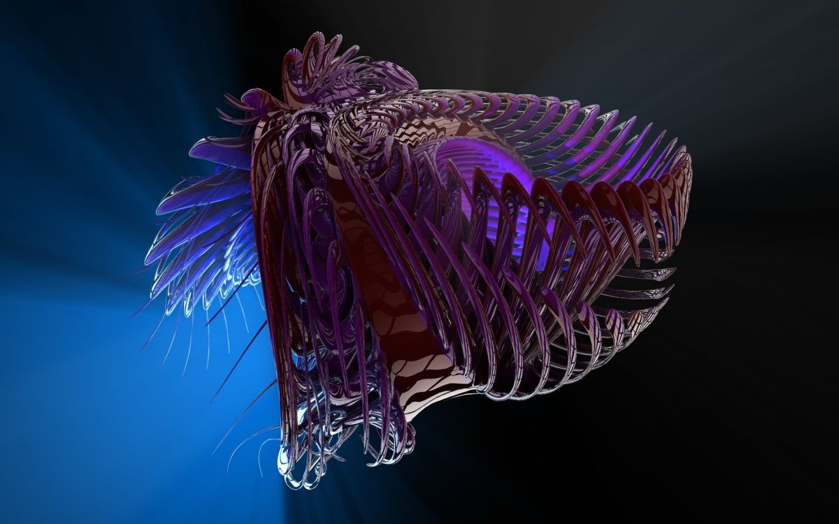 Обои пурпур, Фиолетовый, иностранец, макросъемка, морская биология в разрешении 1920x1200