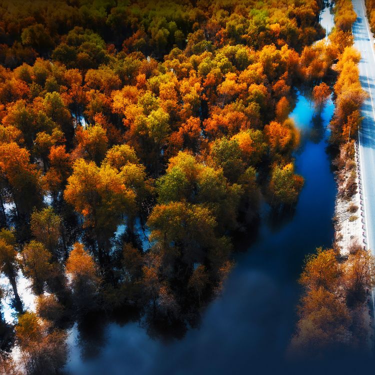 Обои Huawei, Huawei Mate, Huawei Mate 40 Pro, huawei p40, huawei mate 30 в разрешении 2772x2772