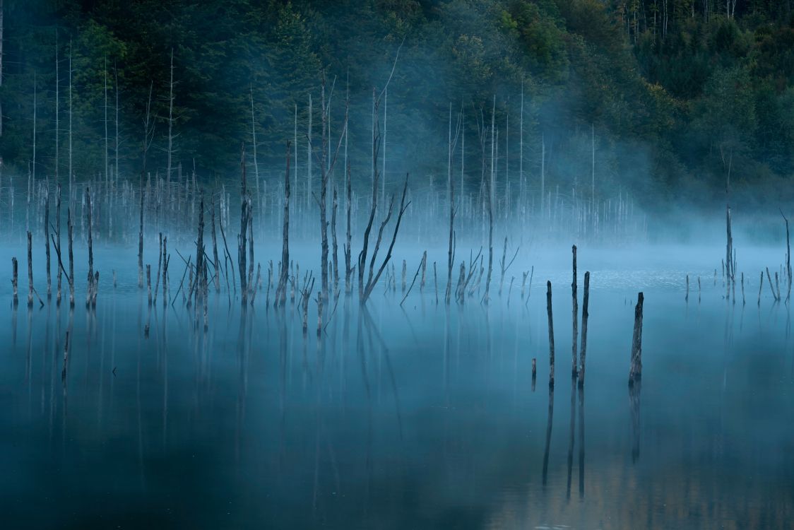 Обои Даниил mirlea, природа, синий, вода, отражение в разрешении 7952x5304