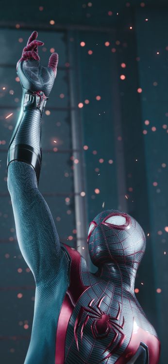 Обои мышца, человеческий скелет, биология человека, наука, биология в разрешении 1772x3840