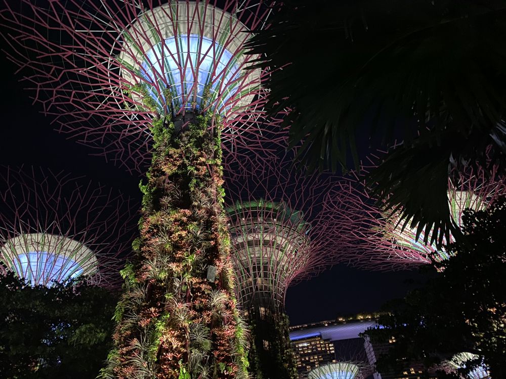 Обои Сингапур, ночь, пальмовые рощи, салют, достопримечательность в разрешении 2048x1536