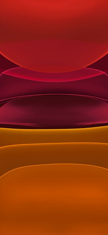 Обои apple, iPhone, iPhone 11, яблоко, красочность в разрешении 1436x3113