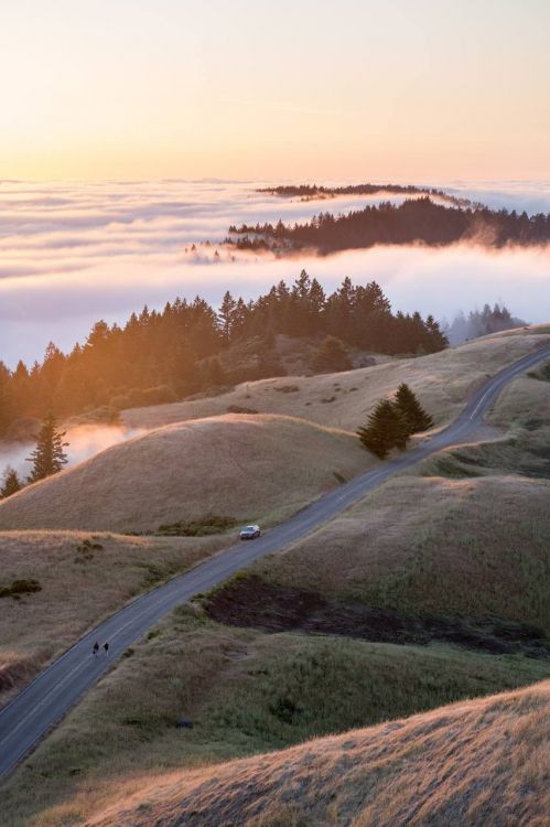 Обои облако, гидроресурсы, экорегион, растение, природный ландшафт в разрешении 853x1280
