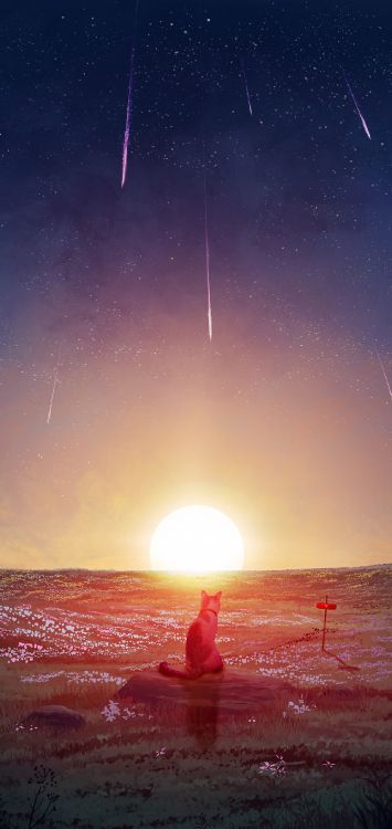 Обои астрономический объект, атмосфера, солнце, горизонт, космос в разрешении 1212x2560