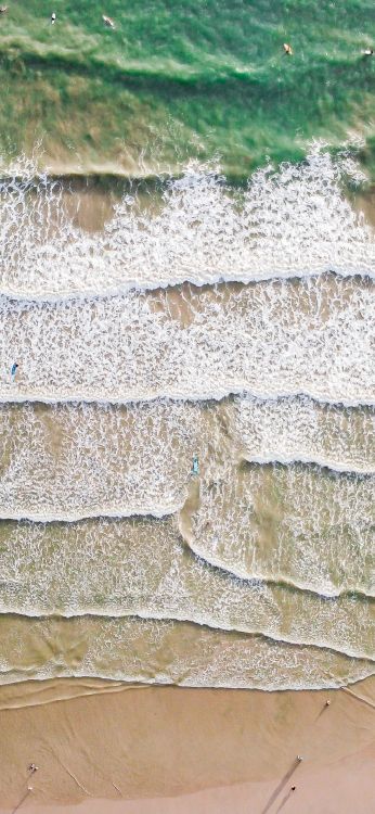 Обои стена, коренная порода, древесина, дорожное покрытие, почвопокровная в разрешении 1080x2340