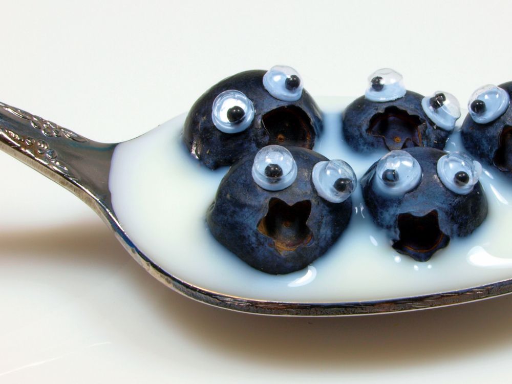 Обои Черника, фрукты, пища, ложка, ножевые изделия в разрешении 2048x1536