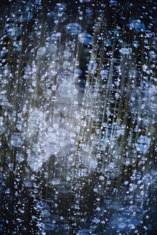 Обои боке, вода, отражение, дерево, дождь в разрешении 4016x6016