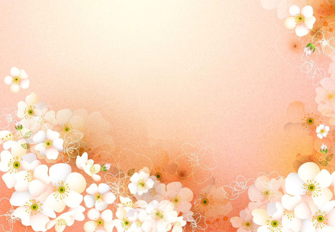 Обои розовый, цветок, весна, лепесток, цветочный дизайн в разрешении 3610x2500