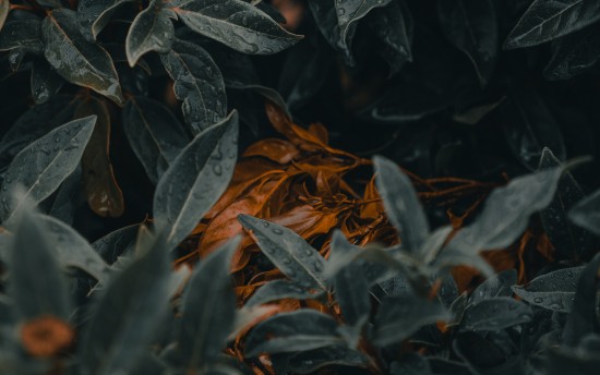 Motivaciya Oboi Macbook Pro 15 Motivaciya Hd Kartinki 2880x1800 Foto Skachat Besplatno Choose from hundreds of free mac wallpapers. motivaciya oboi macbook pro 15