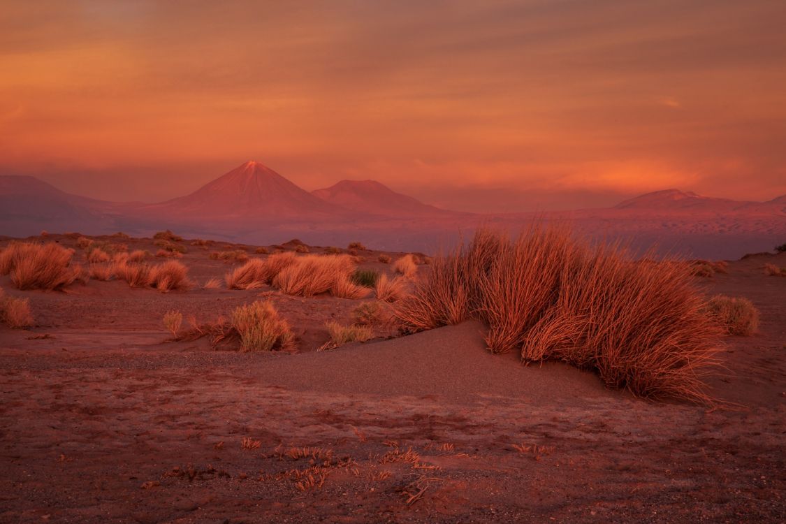 Обои пустыня, экорегион, утро, горизонт, национальный парк в разрешении 2048x1365