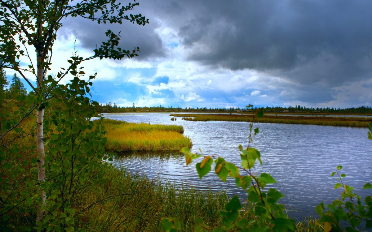 Обои природа, водоем, вода, отражение, природный заповедник в разрешении 2560x1600