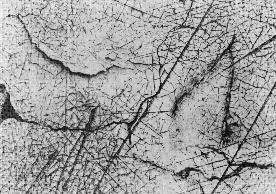 Обои абстракция, абстрактное искусство, ветвь, дерево, лист в разрешении 2560x1800