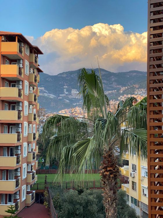 Обои облако, здание, растение, гора, лазурный в разрешении 3024x4032