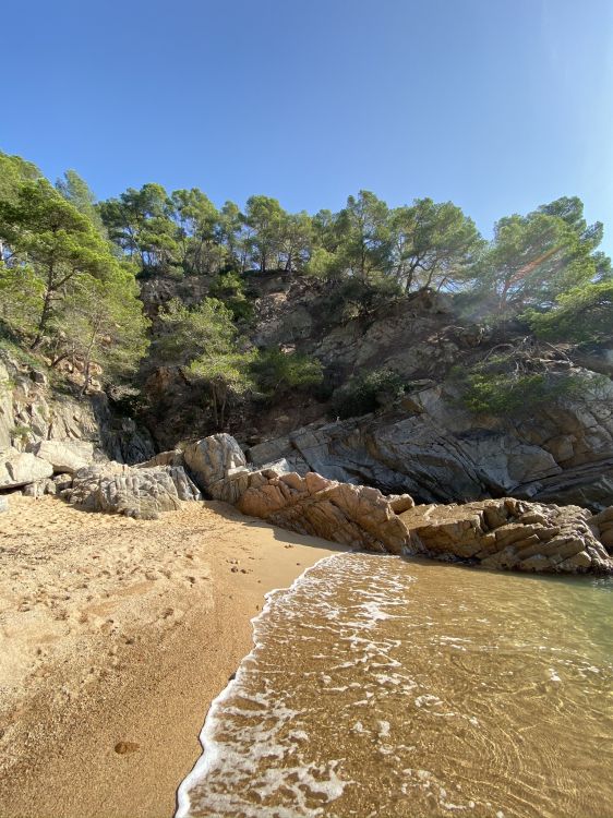 Обои побережье, рок, коренная порода, геология, формирование в разрешении 1536x2048