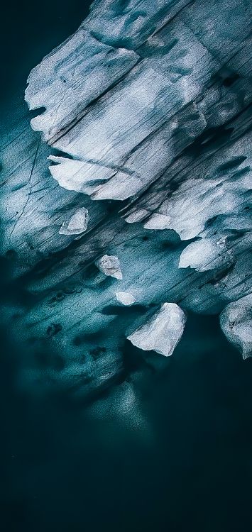 Обои постельное белье, м-027, растение, вода, облако в разрешении 1421x3000