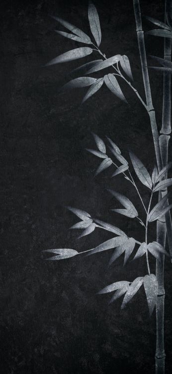 Обои визуальное искусство, черный и белый, арт, ветвь, наземное растение в разрешении 1080x2340
