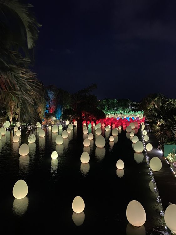 Обои Сингапур, отражение, вода, ландшафтное освещение, ночь в разрешении 1536x2048