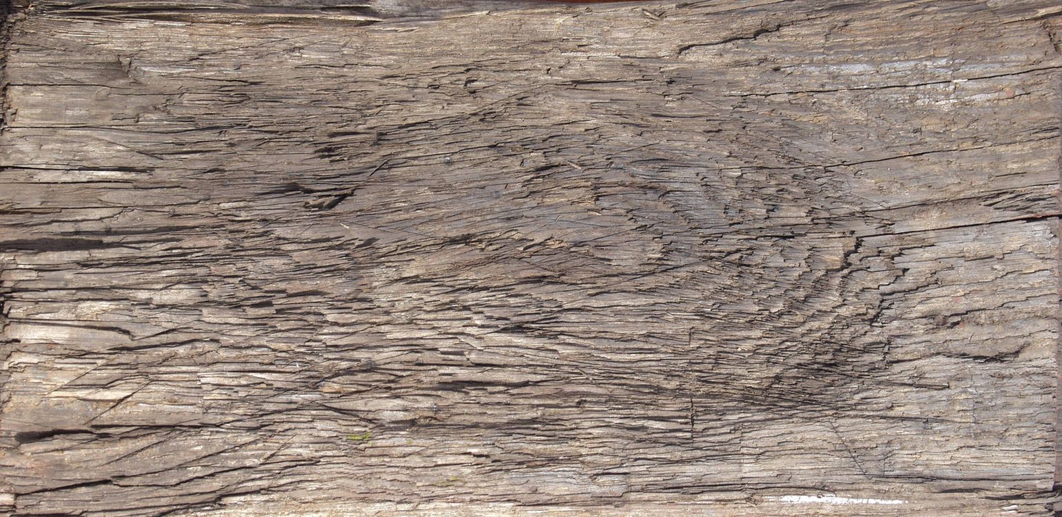 Обои дерево, древесина, геология, рок, коренная порода в разрешении 3249x1584