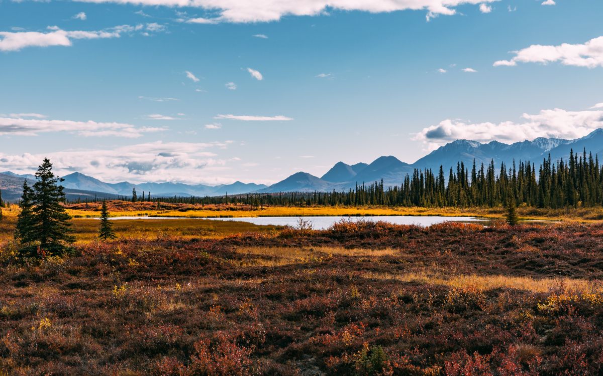 Обои облако, растение, гора, природный ландшафт, нагорье в разрешении 5120x3200