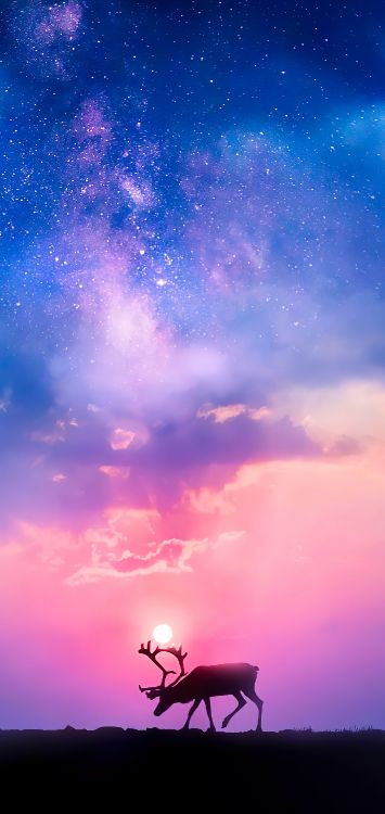 Обои grpc, повторить, облако, атмосфера, свет в разрешении 1421x3000