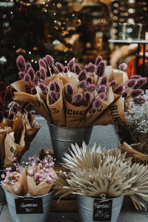 Обои цветочный букет, цветок, растение, цветочный горшок, срезанные цветы в разрешении 3162x4743