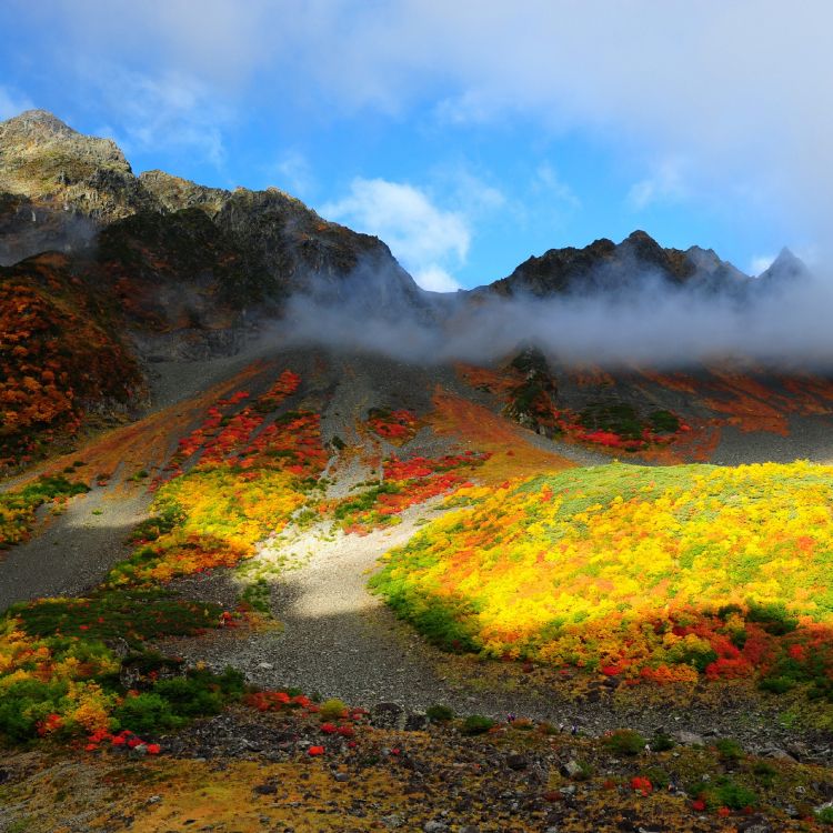 Обои гора, природа, дикая местность, растительность, нагорье в разрешении 2560x2560