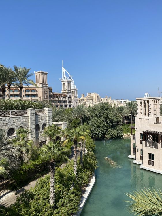 Обои ориентир, дерево, водный путь, водоток, вышка в разрешении 1536x2048