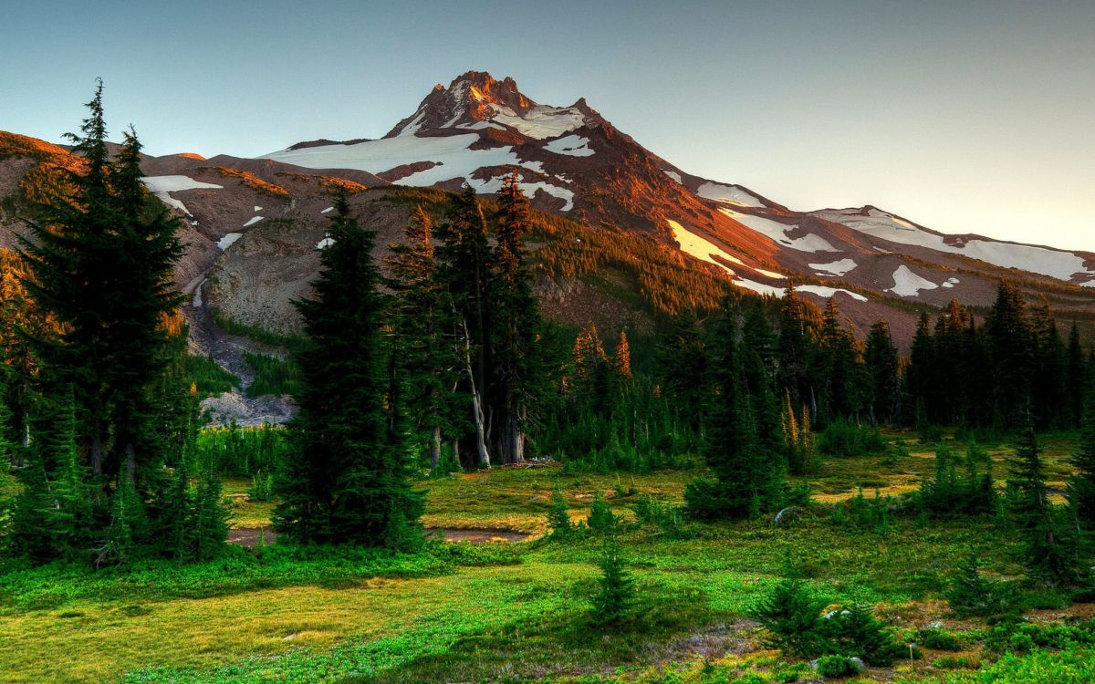 Обои горный рельеф, природа, гора, дикая местность, дерево в разрешении 2560x1600