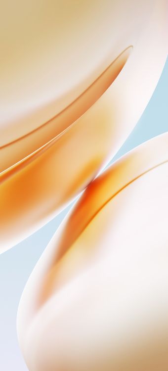 Обои oneplus 8 pro, смартфон, андроид, желтый, Апельсин в разрешении 1440x3168