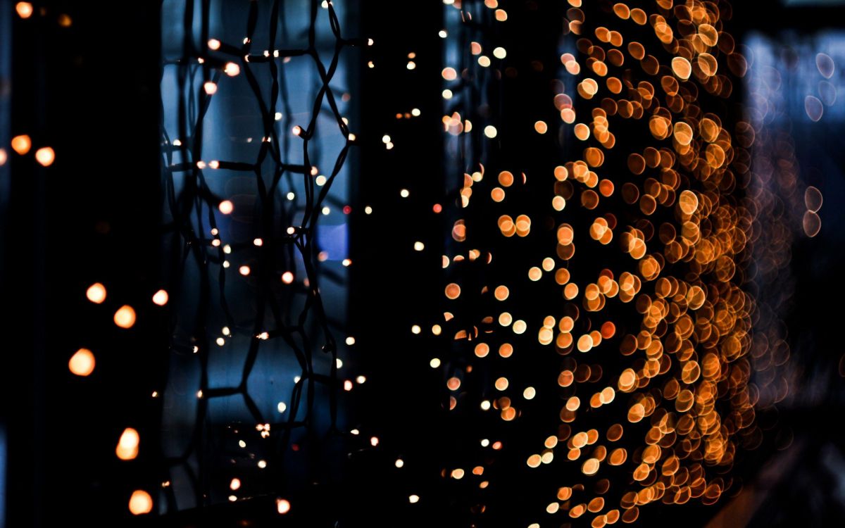 Обои Рождественские огни, освещение, ночник, свет, вода в разрешении 2560x1600