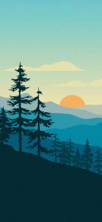 Обои растение, облако, природа, природный ландшафт, лиственница в разрешении 1170x2532