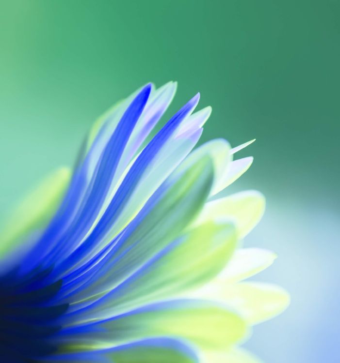 Обои Huawei, Huawei View 20, честь v20, честь вид 10, честь вид20 в разрешении 2160x2310