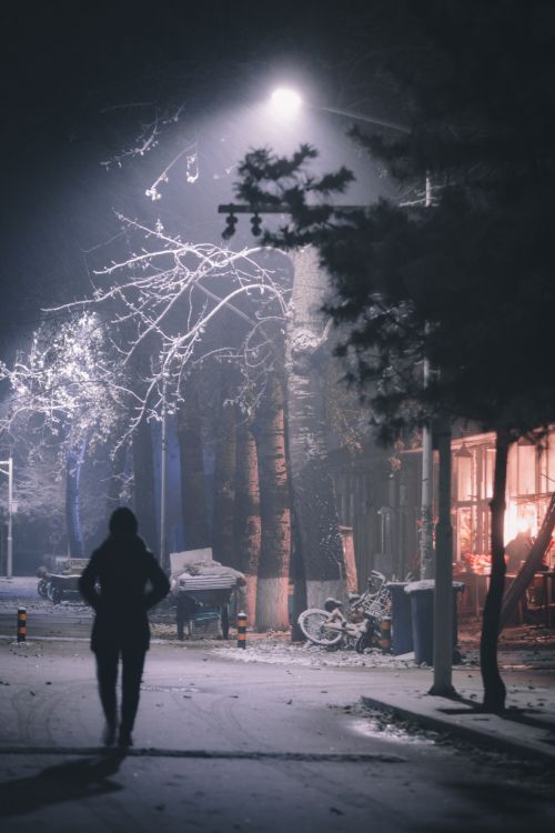 Обои темнота, дерево, ночь, свет, атмосфера в разрешении 5269x7903