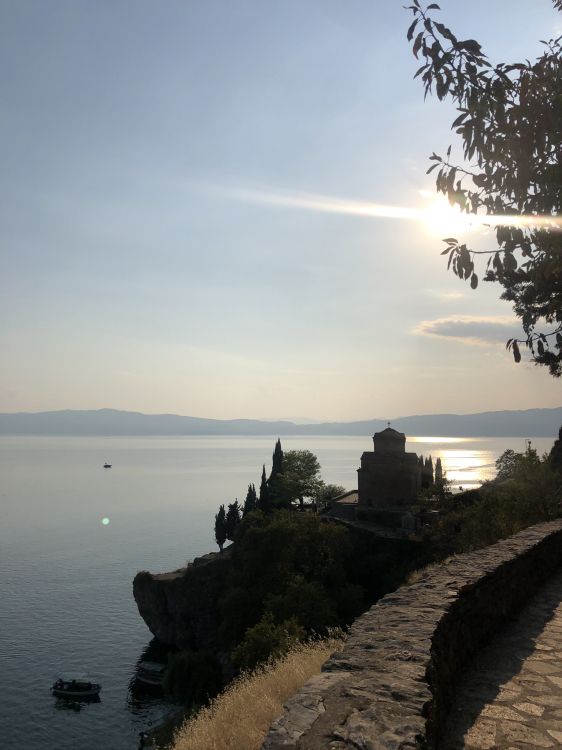 Обои море, вода, наука, биология, побережье в разрешении 1536x2048