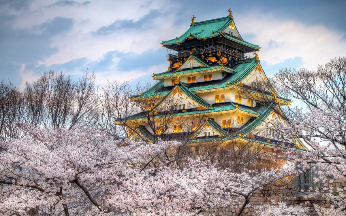 Обои Японский замок, замок Осака, Замок Химэдзи, замок, пагода в разрешении 3840x2400