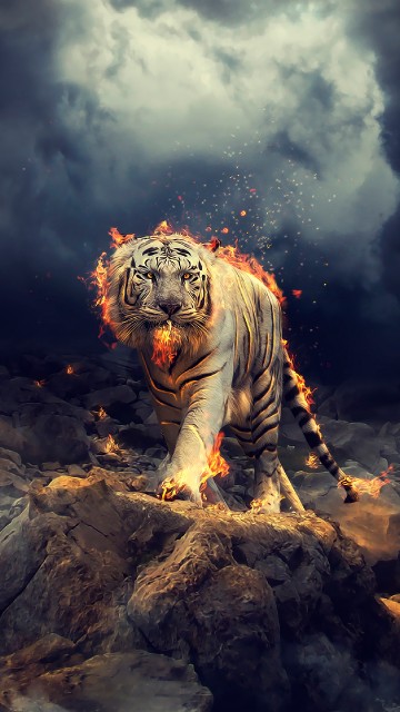 Картинки тигра | картинки тигра на телефон