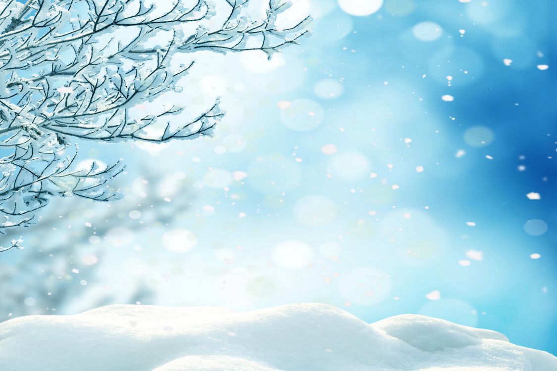 Обои Снежинка, зима, снег, синий, дерево в разрешении 6000x4000