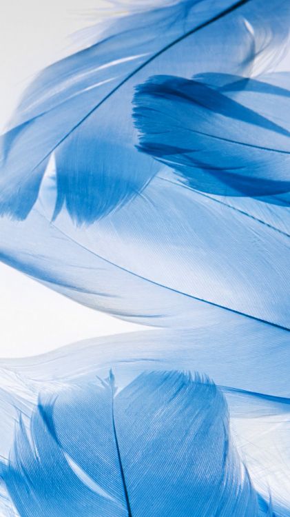 Обои ZTE, ZTE Nubia Z17s, синий, электрик, Аква в разрешении 1080x1920