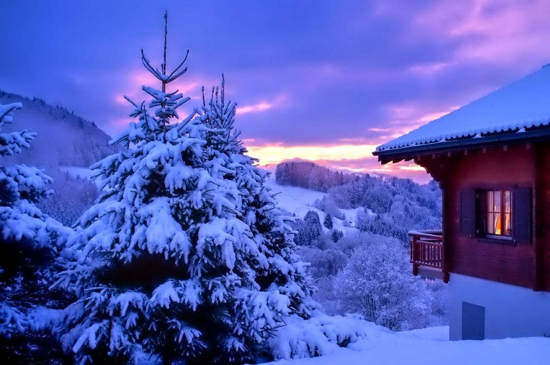 Обои зима, снег, синий, природа, дерево в разрешении 1920x1275