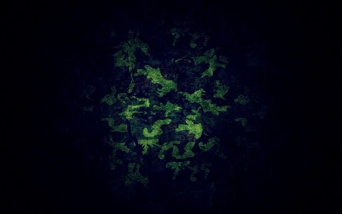 Обои природа, зеленый, военный камуфляж, камуфляж, черный в разрешении 2560x1600