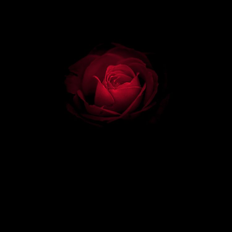 Обои Порше, Huawei, амолед, Huawei Mate, OLED в разрешении 2880x2880